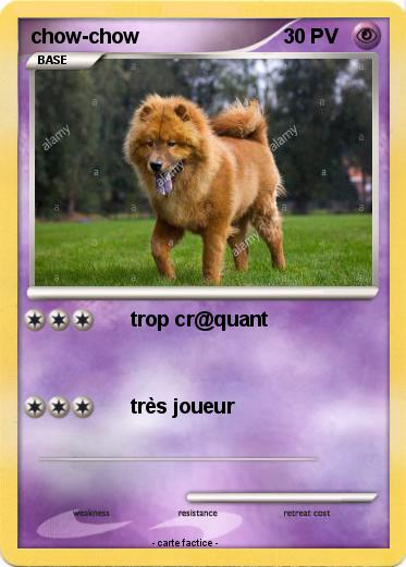 Pokemon chow-chow
