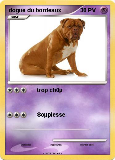 Pokemon dogue du bordeaux