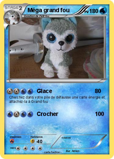 Pokemon Méga grand fou