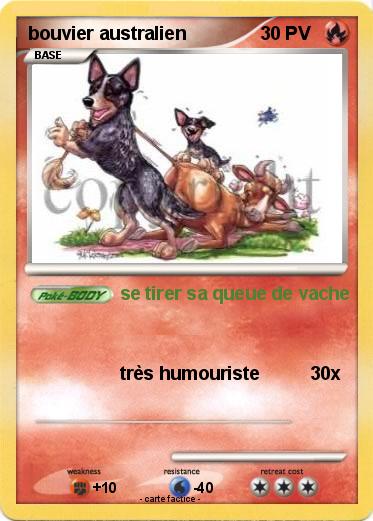 Pokemon bouvier australien