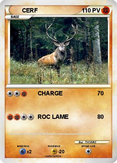 Pokemon CERF