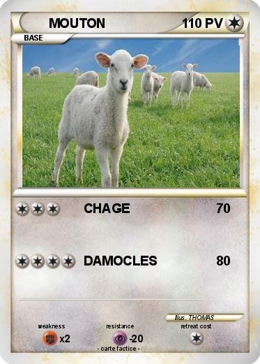 Pokemon MOUTON