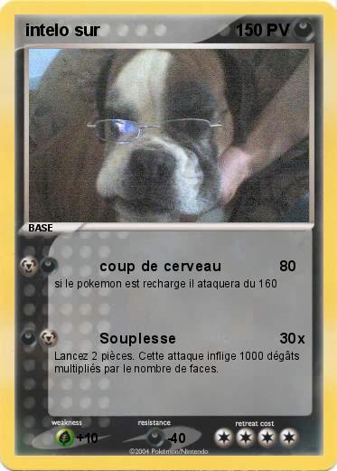 Pokemon intelo sur