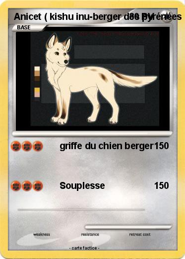 Pokemon Anicet ( kishu inu-berger des pyrénées mixte )