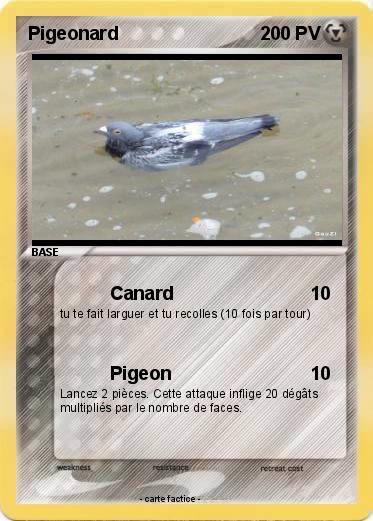 Pokemon Pigeonard