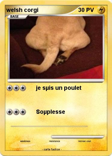 Pokemon welsh corgi