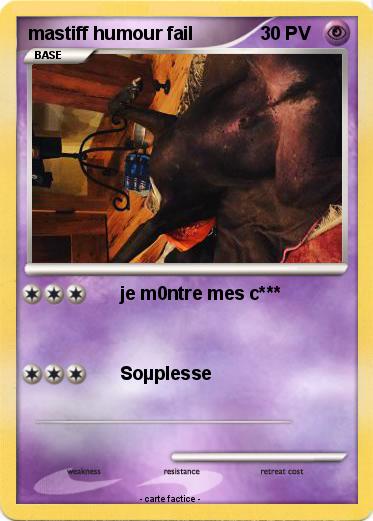 Pokemon mastiff humour fail