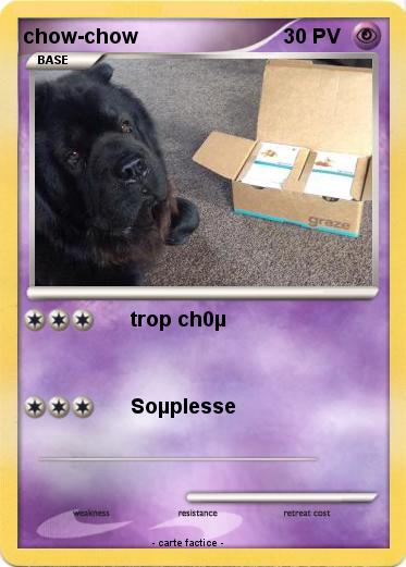 Pokemon chow-chow