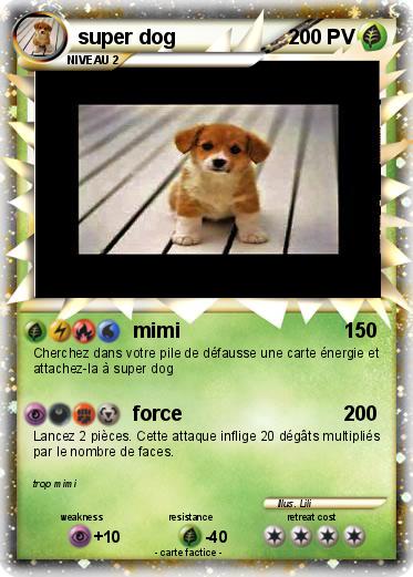 Pokemon super dog