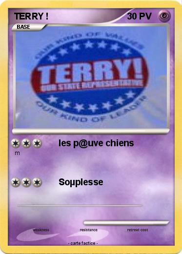 Pokemon TERRY !