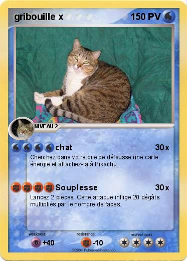 Pokemon gribouille x