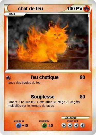 Pokemon chat de feu