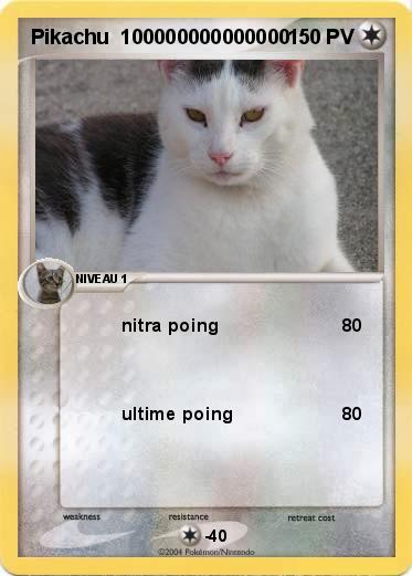 Pokemon Pikachu  100000000000000