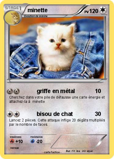 Pokemon minette