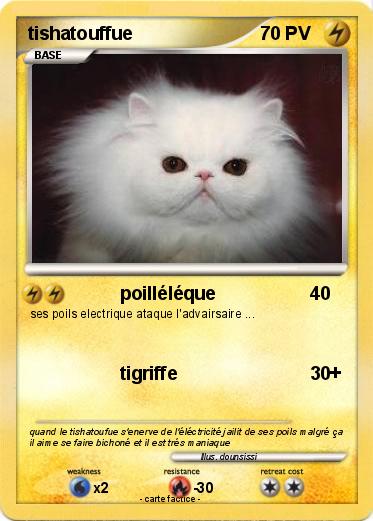 Pokemon tishatouffue
