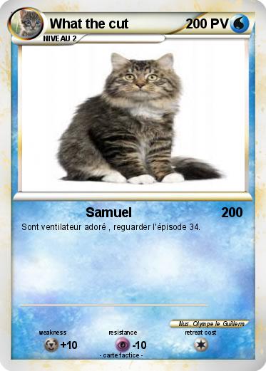 Pokemon What the cut