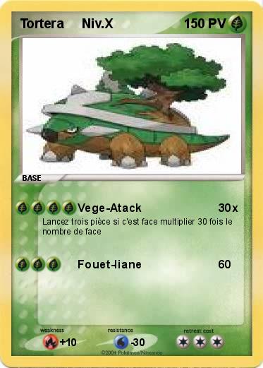 Pokemon Tortera     Niv.X