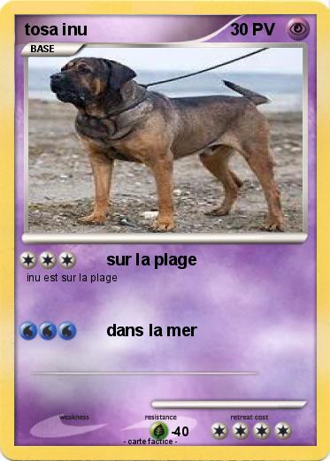 Pokemon tosa inu