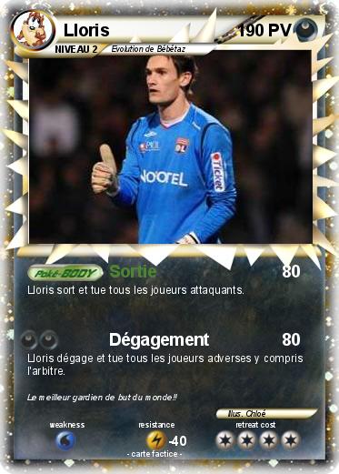 Pokemon Lloris