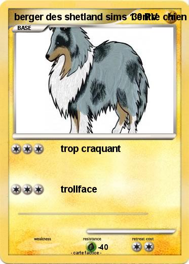 Pokemon berger des shetland sims 1 entre chien & chat