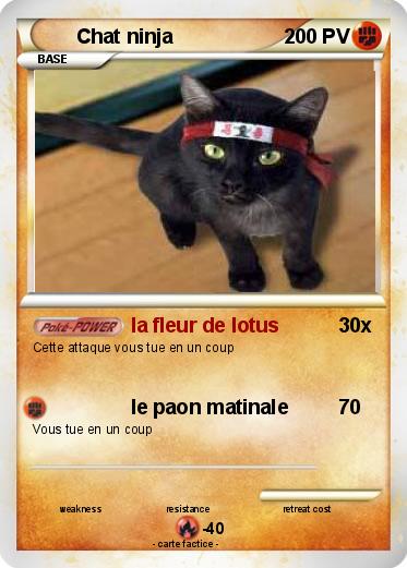 Pokemon Chat ninja