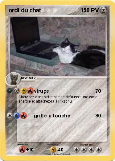 Pokemon ordi du chat