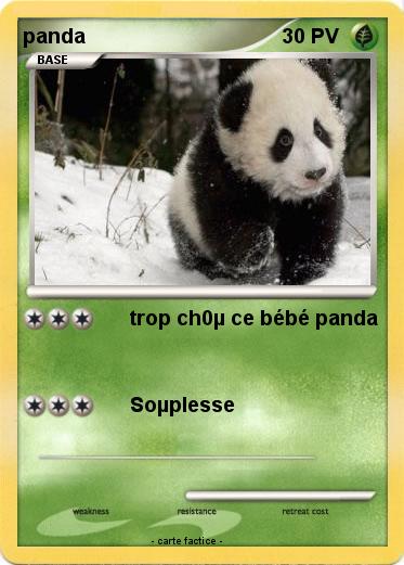 Pokemon panda
