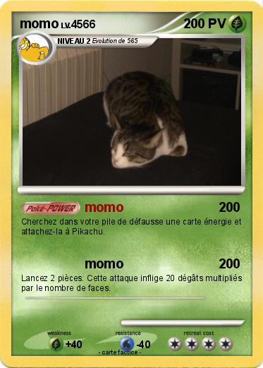 Pokemon momo