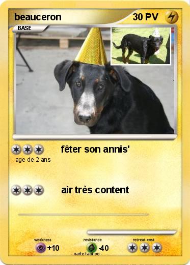 Pokemon beauceron