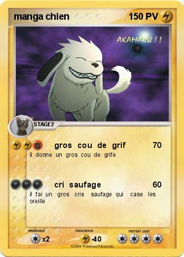 Pokemon manga chien