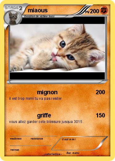 Pokemon miaous