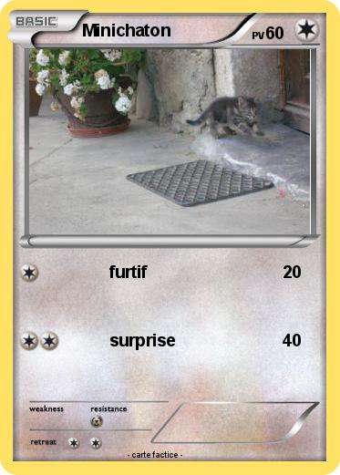 Pokemon Minichaton