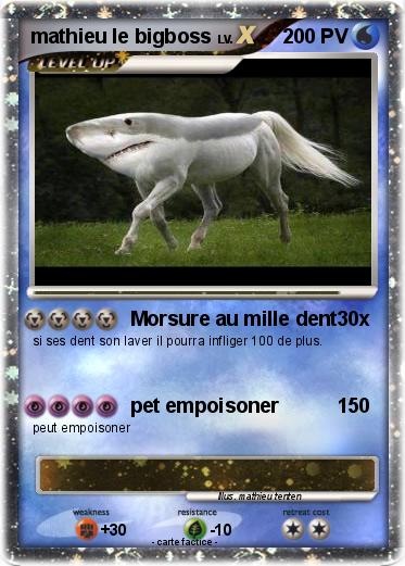 Pokemon mathieu le bigboss