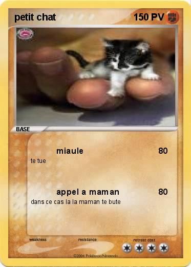 Pokemon petit chat