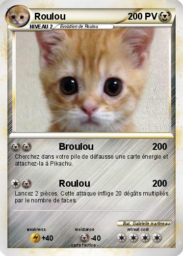 Pokemon Roulou