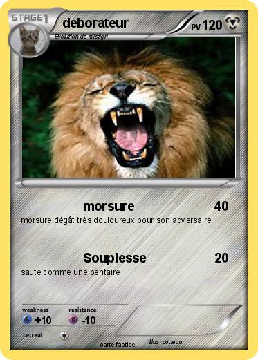 Pokemon deborateur