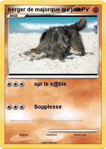 Pokemon berger de majorque qui joue