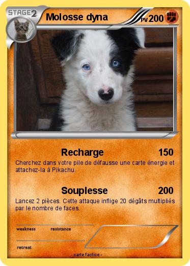 Pokemon Molosse dyna