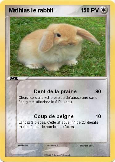 Pokemon Mathias le rabbit 