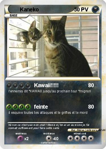 Pokemon Kaneko