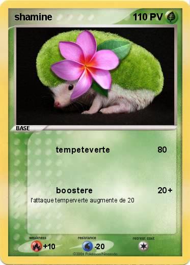 Pokemon shamine