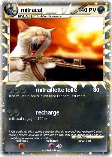 Pokemon mitracat