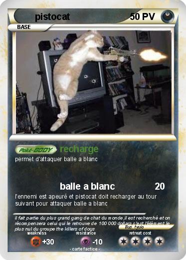 Pokemon pistocat