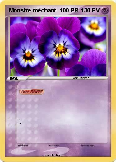 Pokemon Monstre méchant  100 PR