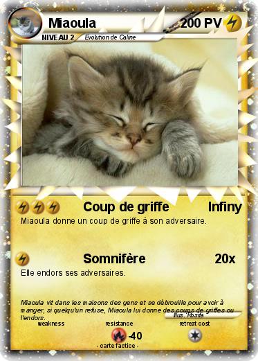 Pokemon Miaoula