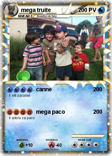 Pokemon mega truite