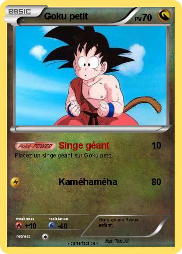 Pokemon Goku petit