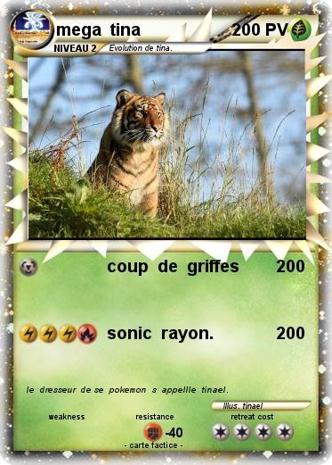 Pokemon mega  tina