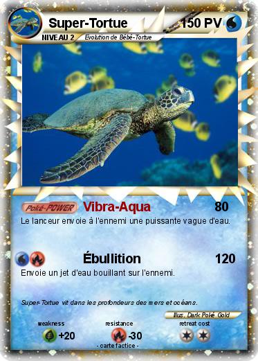 Pokemon Super-Tortue