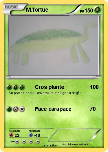 Pokemon M.Tortue